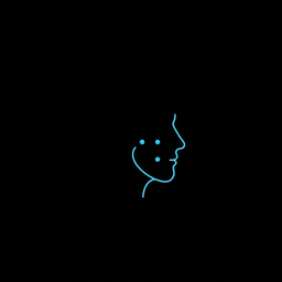 InsightFace